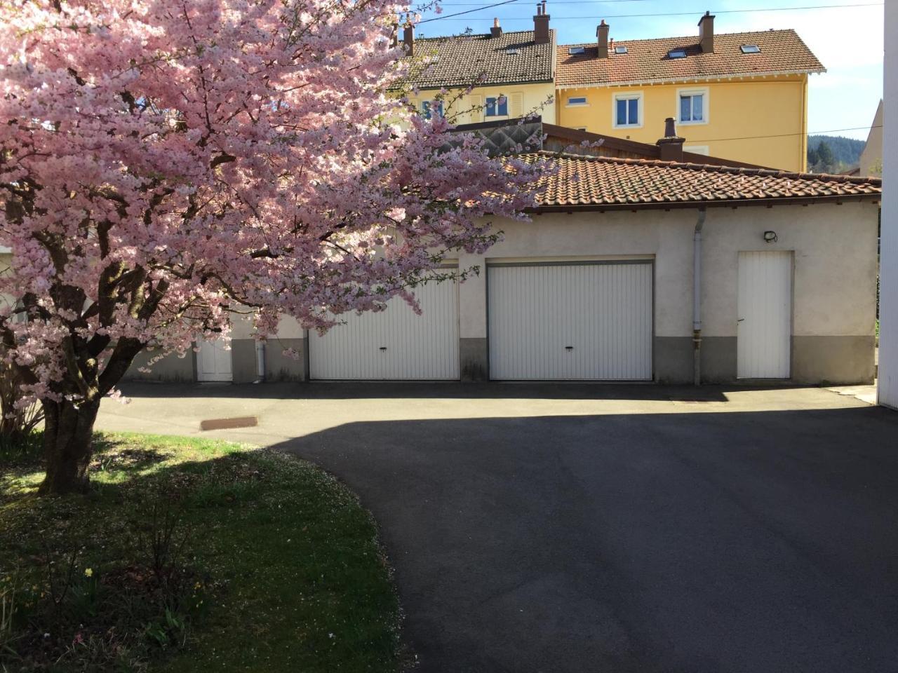 Le Chamois Apartment Gerardmer Bagian luar foto